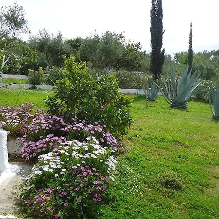 Muses Villas Finikounta Room photo