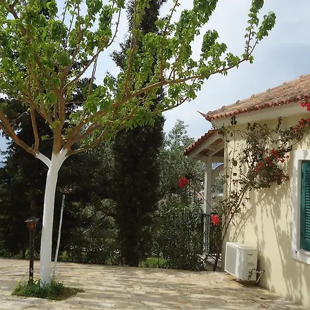 Muses Villas Finikounta Room photo