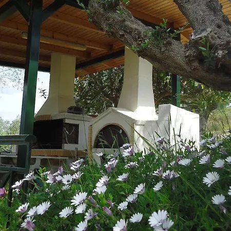 Muses Villas Finikounta Room photo