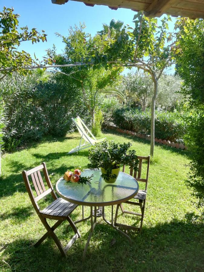 Muses Appartement